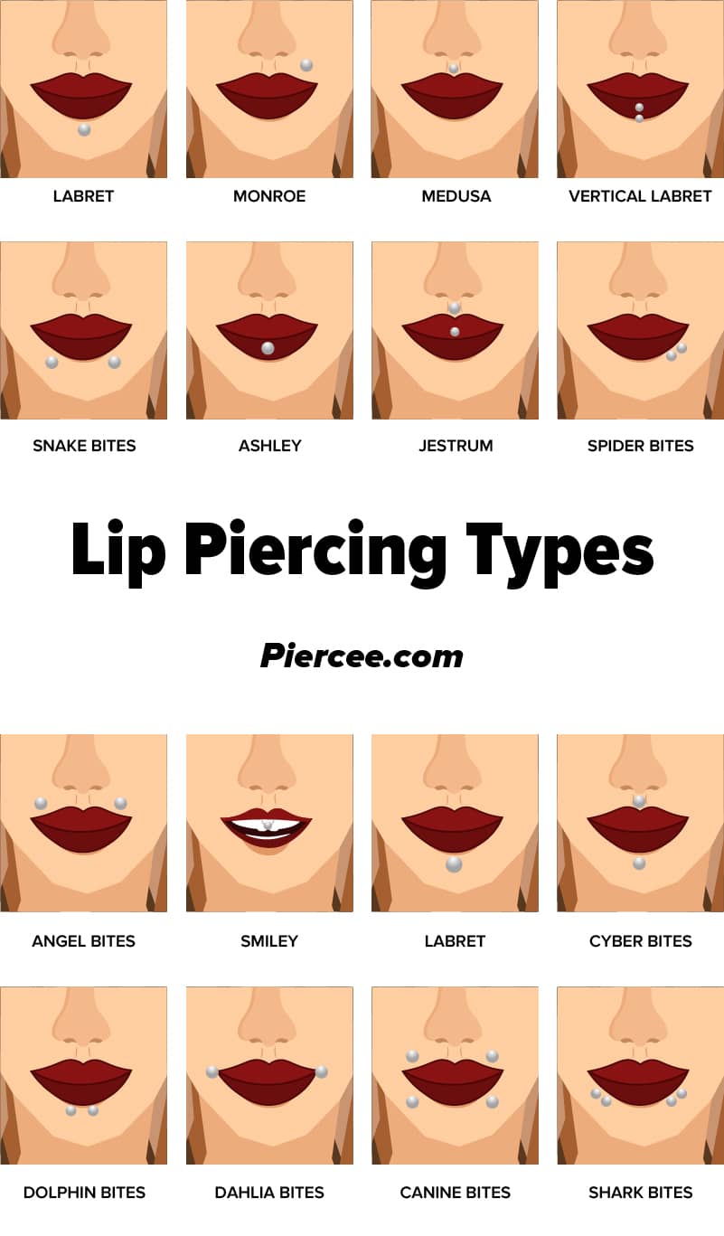 lip piercing names diagram