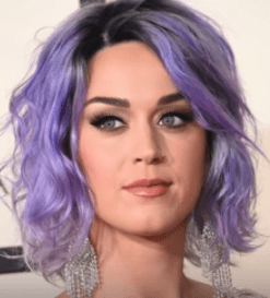 Katy Perry actress